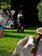 The Desmontegada Weekend