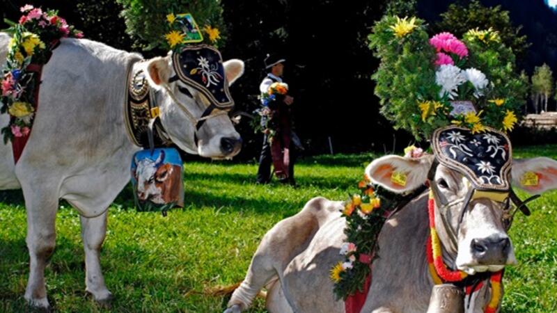 The Desmontegada Weekend