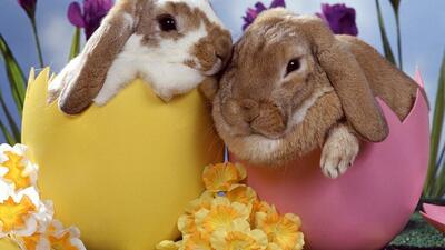 Easter Weekend 2026 Last Minute: Trentino Dolomites Escape