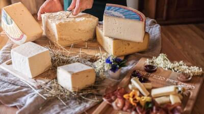 Typical Cheeses of Primiero Trentino Dolomites