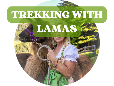 Trekking with Lamas