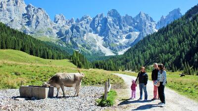 Experiences and activities for families in Primiero Trentino
