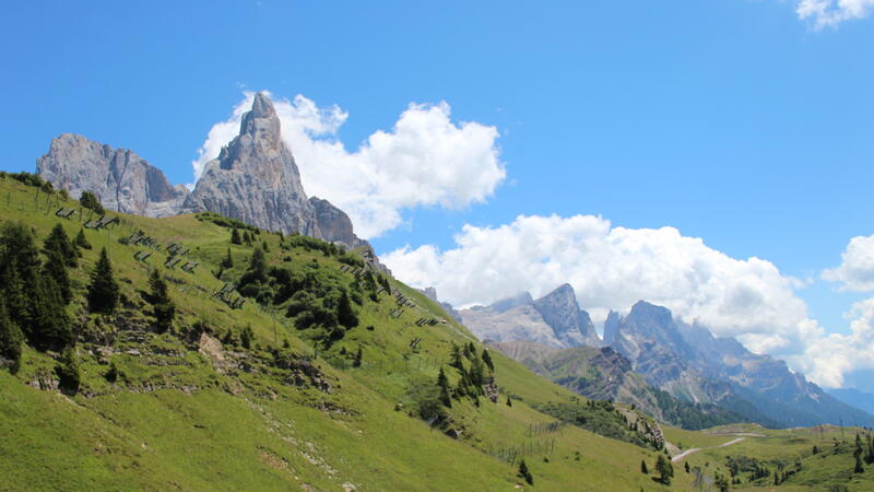 Summer Magical Emotions 