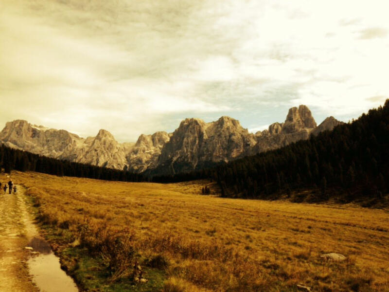 Golden autumn in Trentino