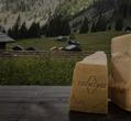 Typical Cheeses of Primiero Trentino Dolomites