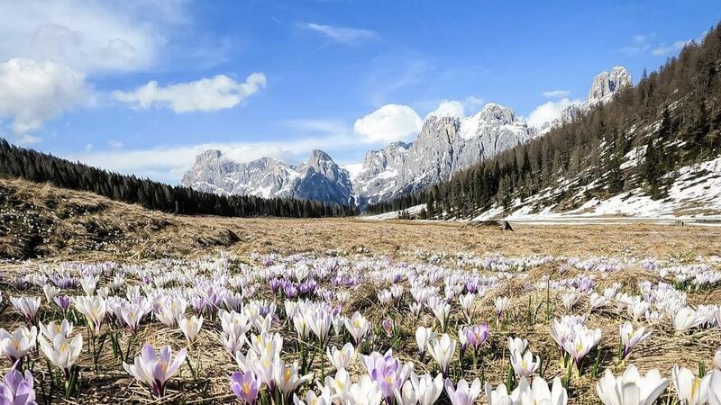 Easter Cuddles in Trentino 