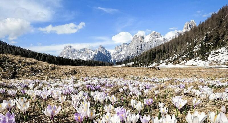 Easter cuddles in Trentino Dolomites
