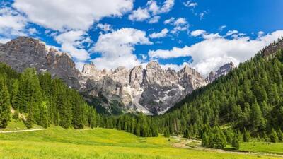 The June holiday offer in Trentino South Tyrol Dolomites