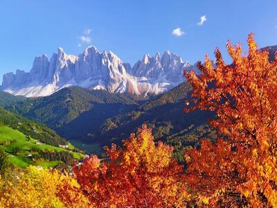 Autumn in Primiero