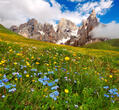 What to do and see in June in Trentino South Tyrol Dolomites