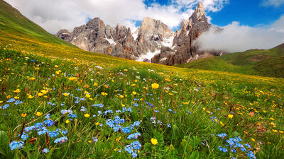 What to do and see in June in Trentino South Tyrol Dolomites