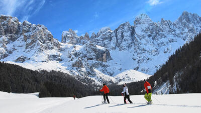 February 2025 in Trentino Dolomites: holiday offers