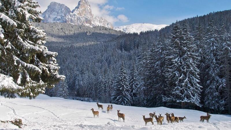 Last Minute February in Trentino Alto Adige