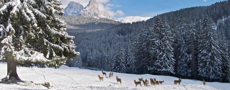 Last Minute February in Trentino Alto Adige