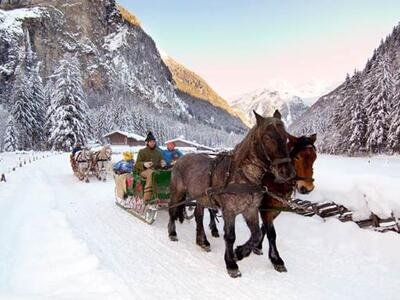   Excursion on the troika in the valley